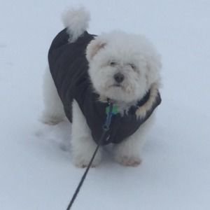 Meet your Posher, Jhoann